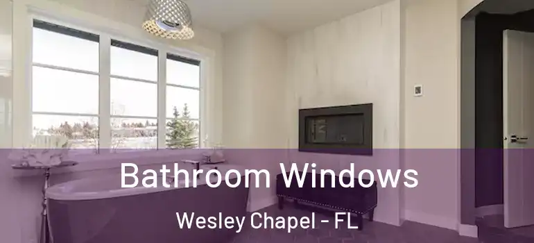  Bathroom Windows Wesley Chapel - FL