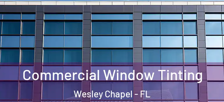  Commercial Window Tinting Wesley Chapel - FL