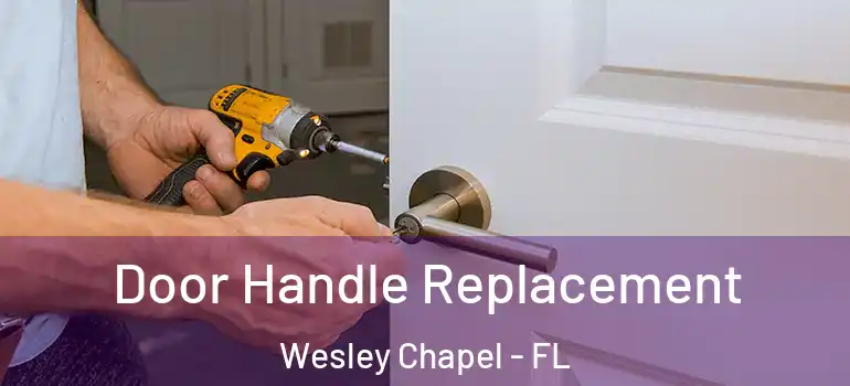 Door Handle Replacement Wesley Chapel - FL