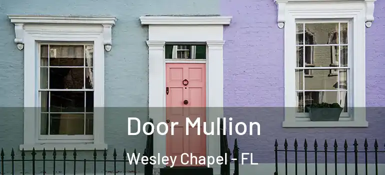  Door Mullion Wesley Chapel - FL