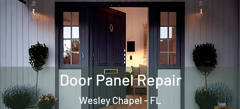  Door Panel Repair Wesley Chapel - FL