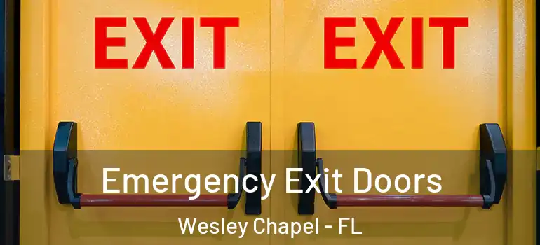  Emergency Exit Doors Wesley Chapel - FL