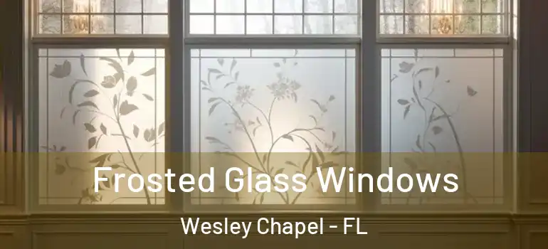  Frosted Glass Windows Wesley Chapel - FL
