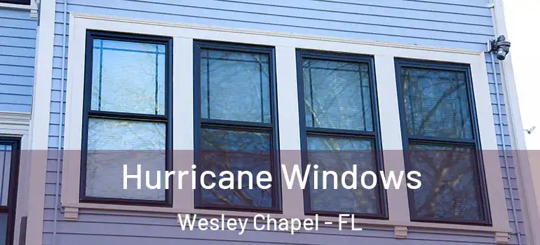  Hurricane Windows Wesley Chapel - FL
