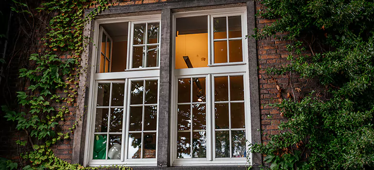 Energy Efficient Wood Windows in Wesley Chapel, FL