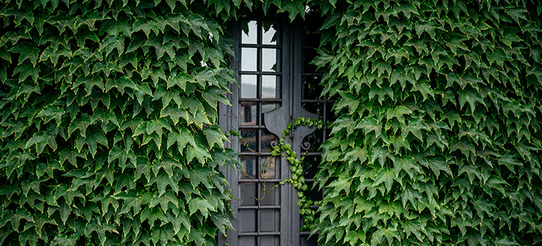 Garden Gate Repair in Wesley Chapel, FL
