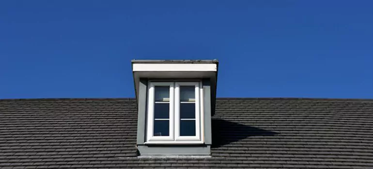 Roof Window Installation in Wesley Chapel, FL