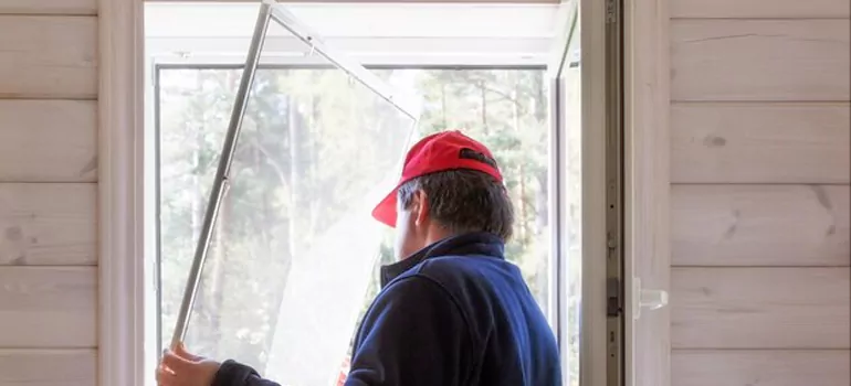 Expandable Window Screen Installation in Wesley Chapel, FL