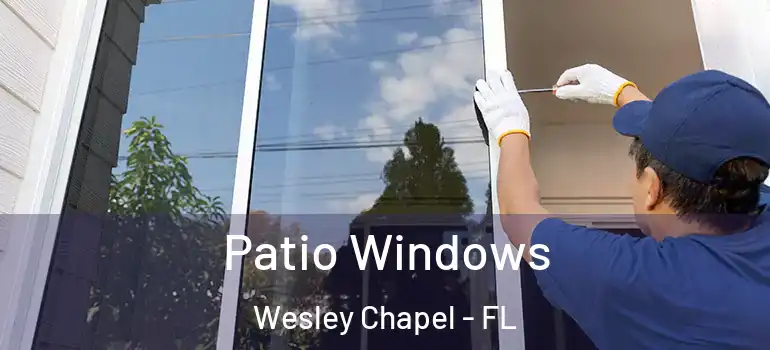  Patio Windows Wesley Chapel - FL