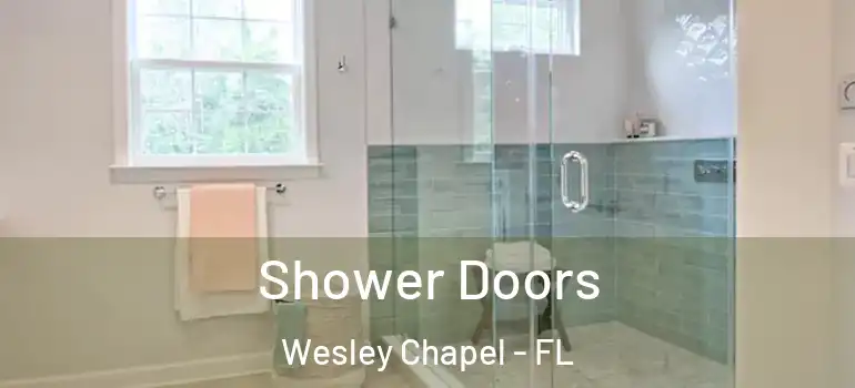  Shower Doors Wesley Chapel - FL