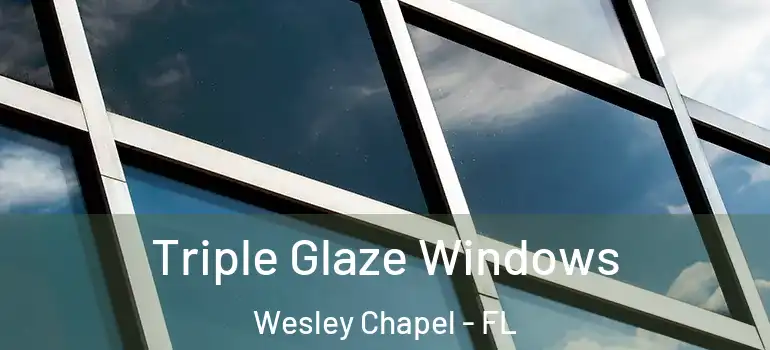  Triple Glaze Windows Wesley Chapel - FL